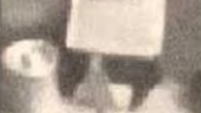 Photograph by Italian journalist Dr Pinotti of inside a UFO. Photograph by Italian journalist Dr Pinotti of inside a UFO.