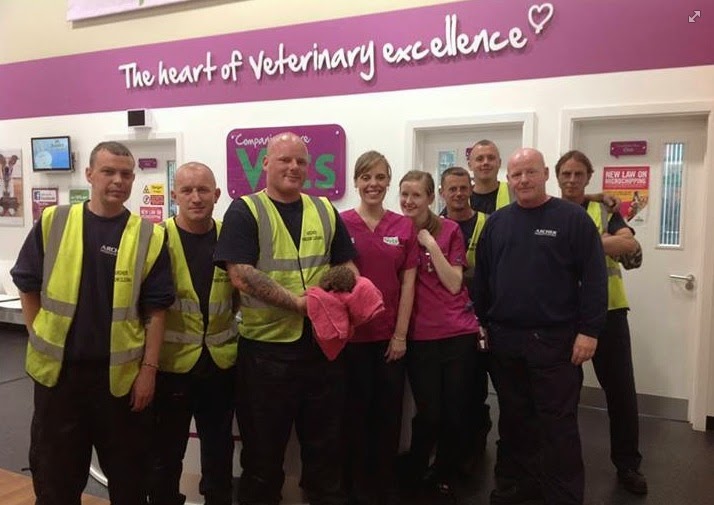 Archer Window Cleaners at the Vets with the rescued hedgehog
