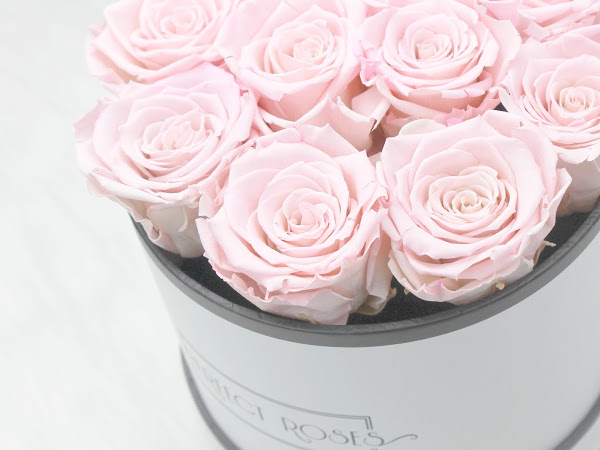 Perfect Roses Flowerbox