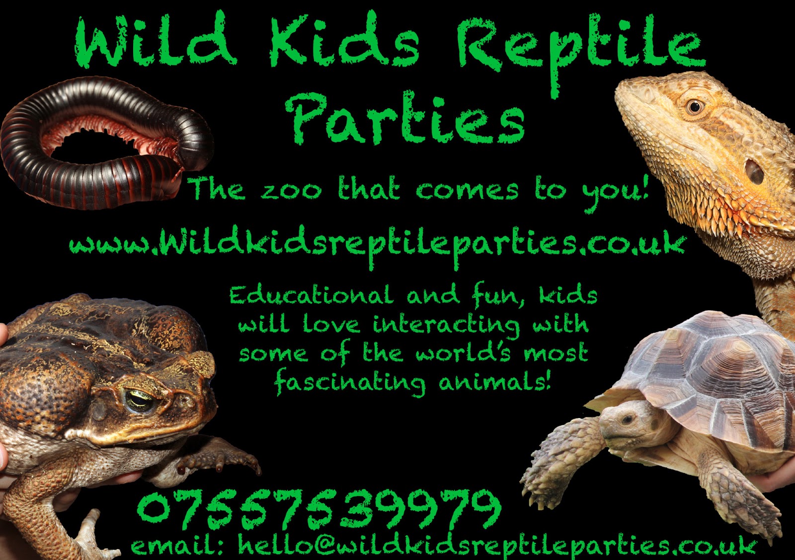 Wild Kids Reptile Parties: Contact details!