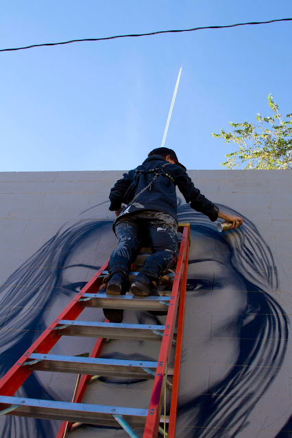 Street Art By Fin DAC and Angelina Christina On The Streets Of Denver, USA. 3