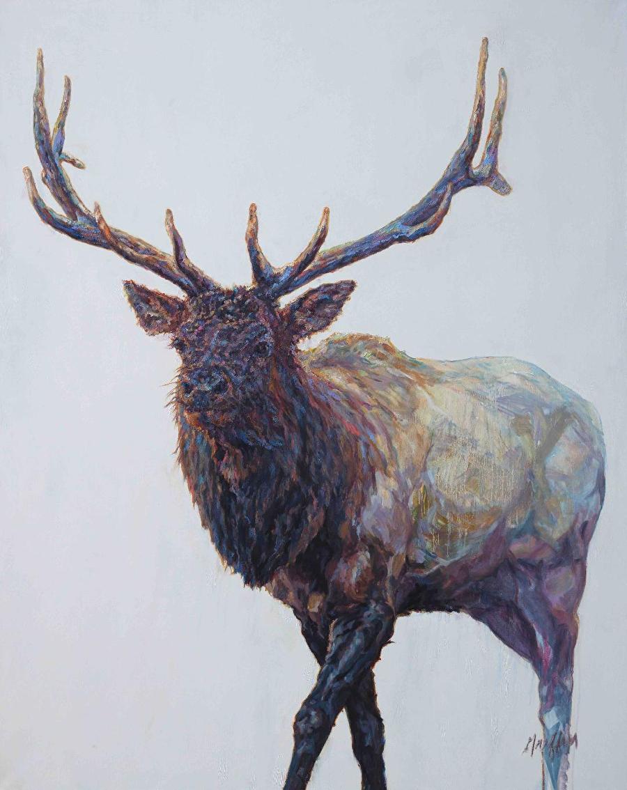 Wildlife Art International Stag, Buck, Western Fine Art, Large Oil