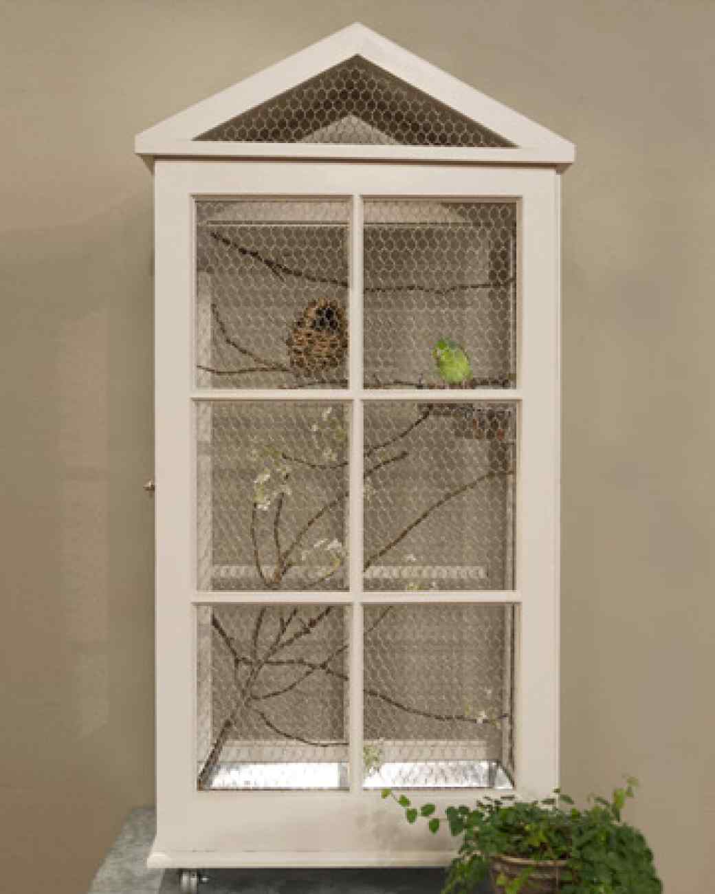 bird-in-everything-building-a-bird-cage-plans