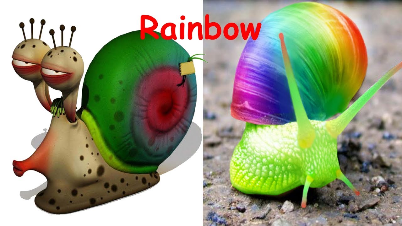 93 Gambar Kartun Larva Paling Keren 93 Gambar Kartun Larva Paling Keren