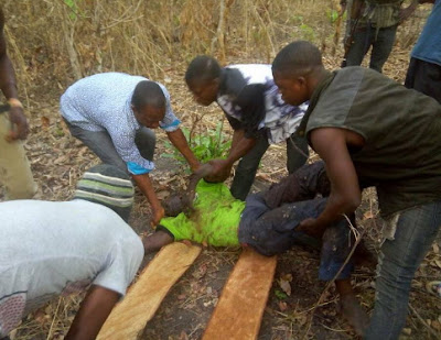 Image result for Herdsmen kill another farmer in Ekiti