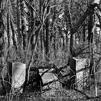 The Cemetery Traveler - by Ed Snyder: Thanksgiving and Abandoned Cemeteries
