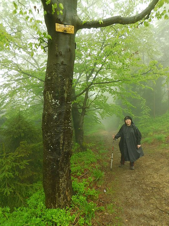 Pod szczytem Gibasów Groń. Pod szczytem Gibasów Groń.
