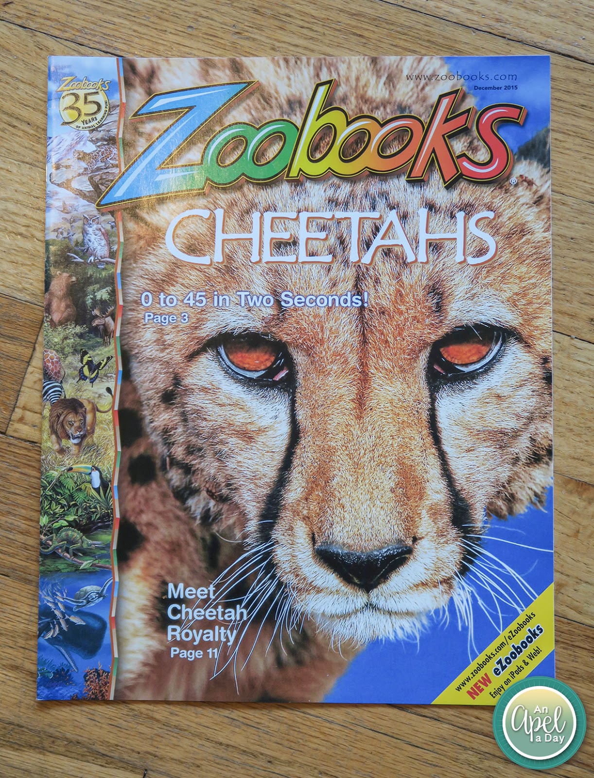 An Apel a Day Zoobooks Magazine Review