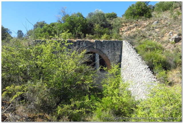 Otro tunel, medio tapado, también dicen que los han usado hace años para criar champiñones Otro tunel, medio tapado, también dicen que los han usado hace años para criar champiñones