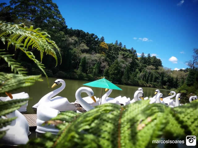 Lago Negro - Gramado - RS Lago Negro - Gramado - RS