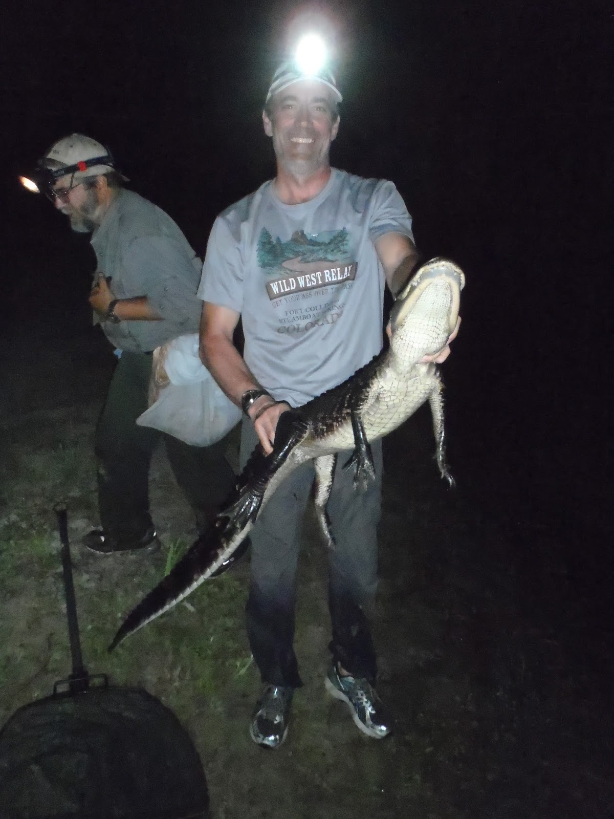 Running With Snakes: 2017