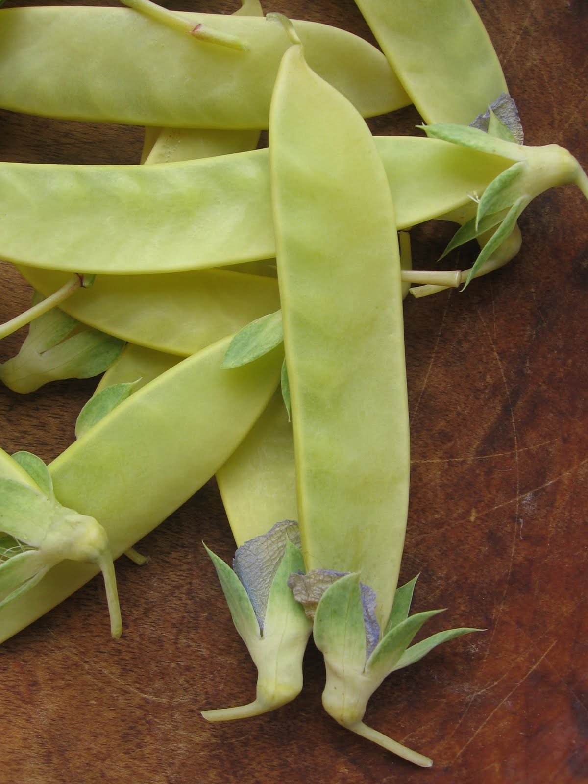 BB's Bountiful Backyard Pea Harvest Golden Sweet