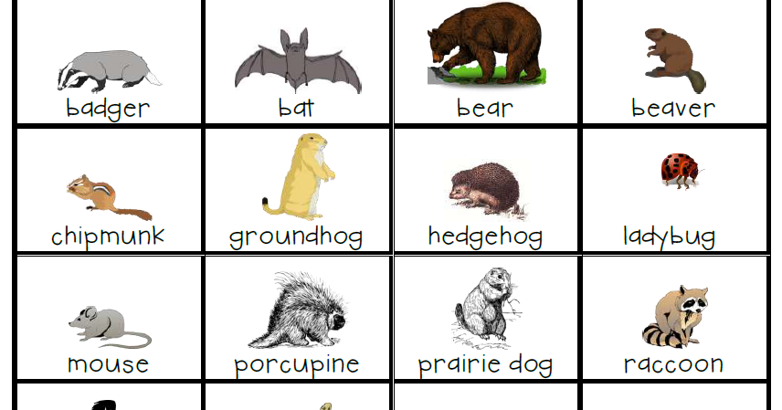 December Day 16 - Hibernating Animals