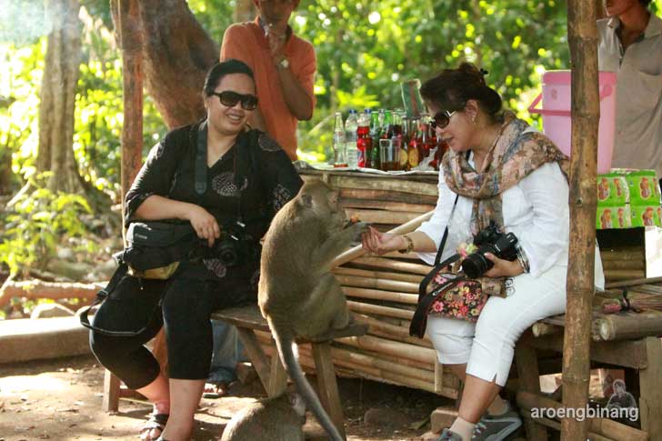 plangon cirebon