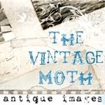 The Vintage Moth