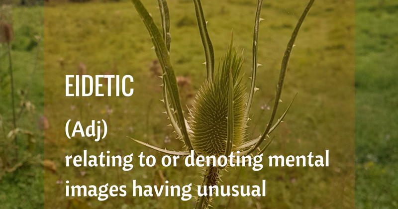 eidetic memory examples eidetic memory examples