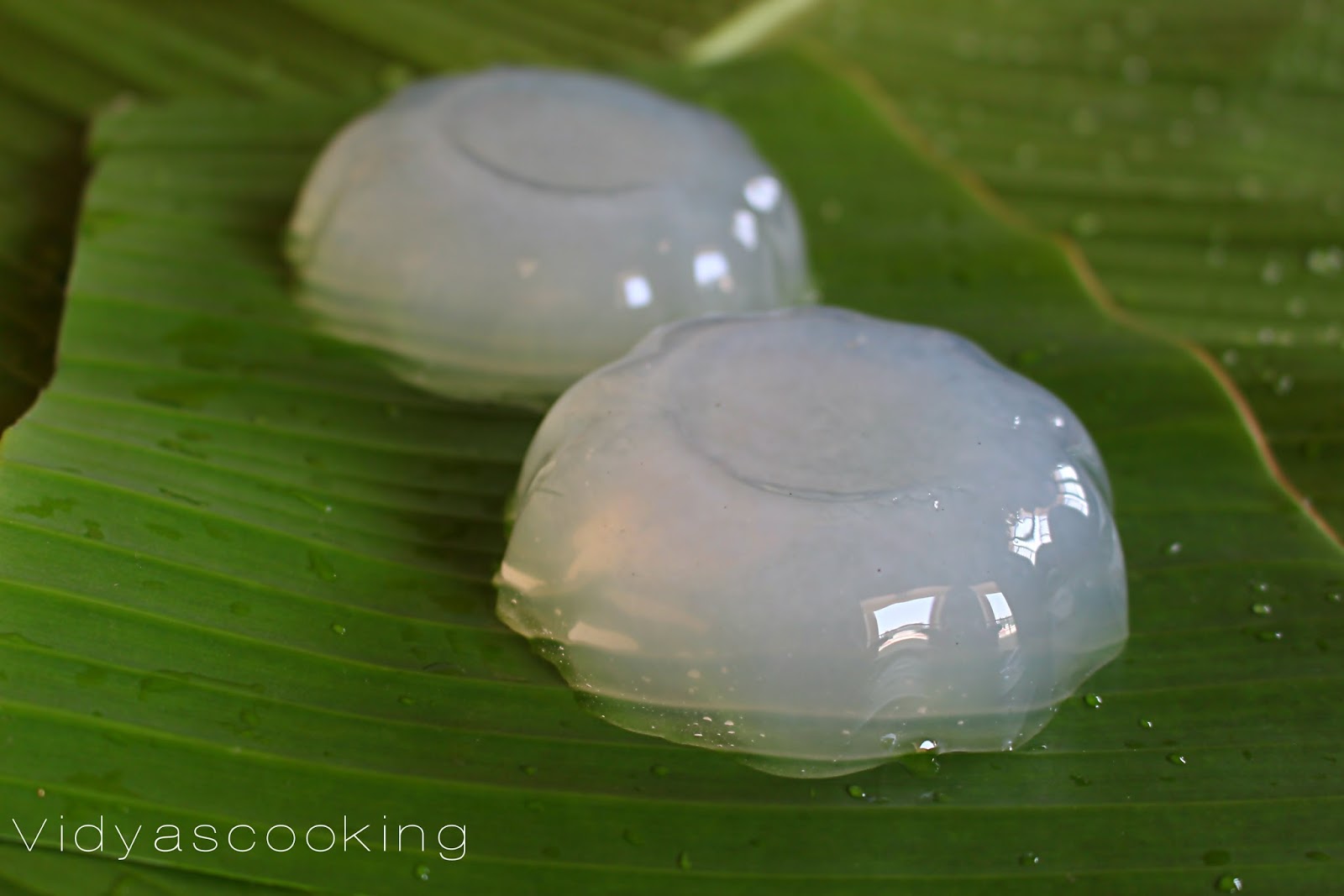 Vidyascooking Tender Coconut Jelly (Elaneer Jelly) Thai Dessert Recipe