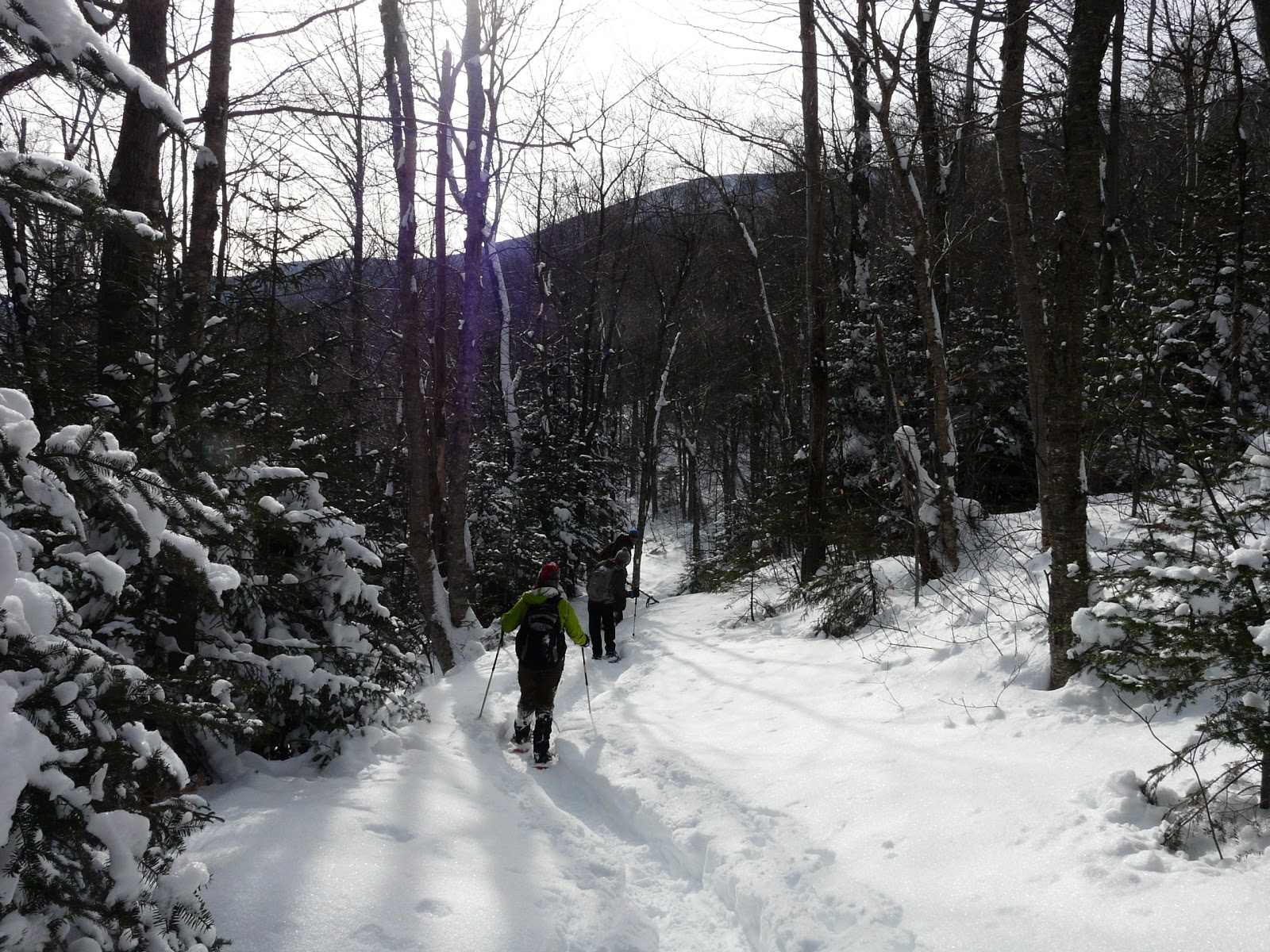 The Freelance Adventurer A White Mountain Snowshoe