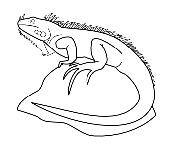 Gecko Template Bing Images Animals Stencil Dibujos De