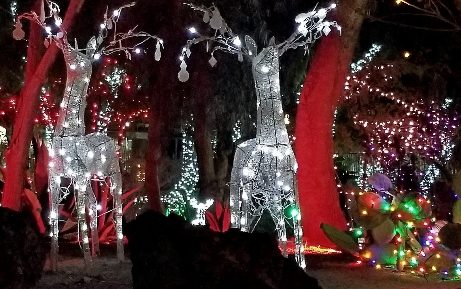 Ken's Photo Gallery Daytrip Henderson and Boulder City Christmas Lights