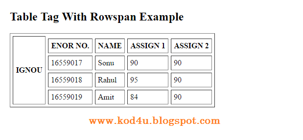 HTML Table Tag With Rowspan Example