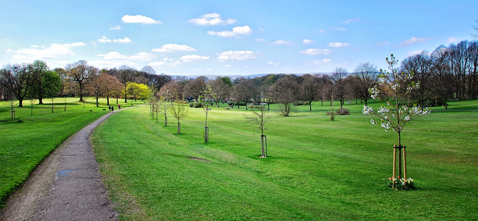 Sheffield Walks Graves Park The Travelling Kind