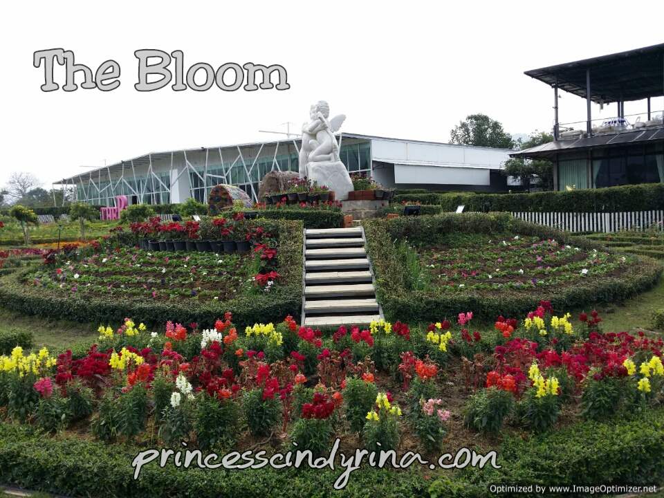 Things To Do in Khao Yai after Sunflower Season