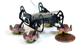 Next Gen Robotic cockroach HAMR