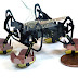 Robotic cockroach can explore under water environment - Next Generation Robot Technology