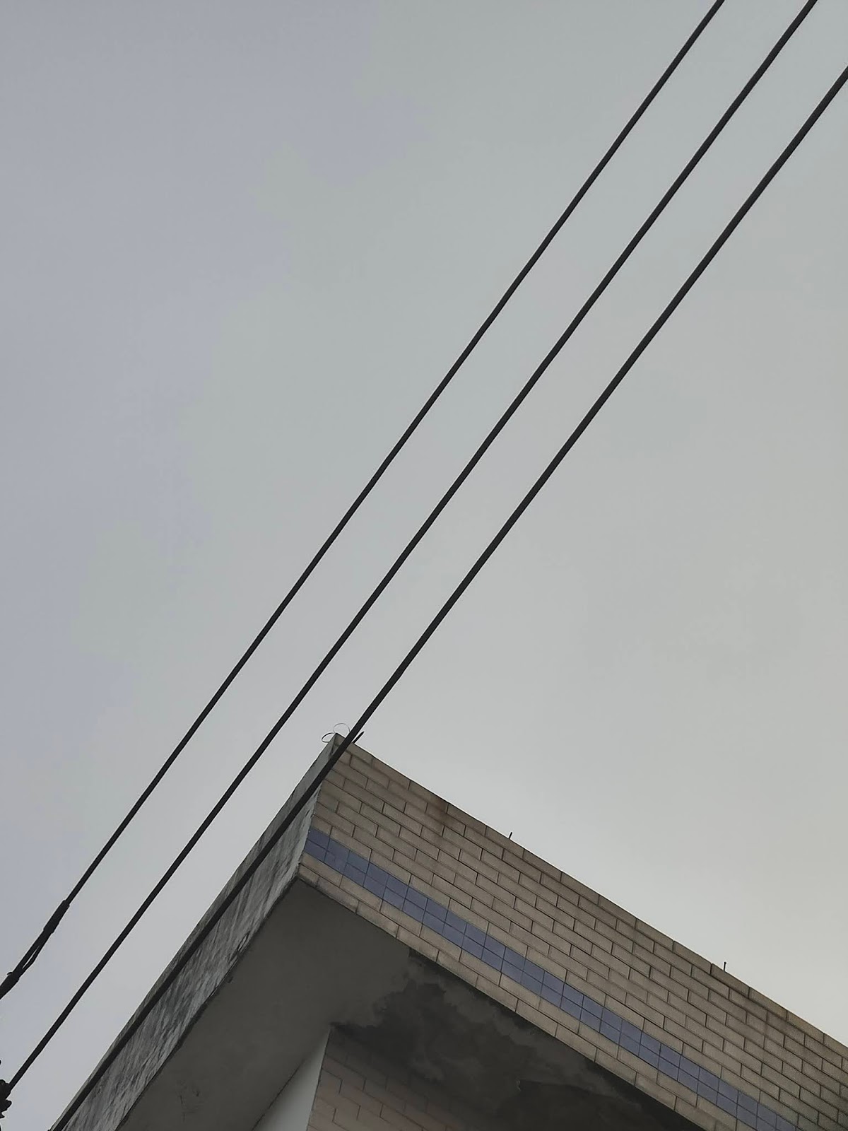 Foto Hasil Kamera Utama Realme X3 SuperZoom Pembesaran 5x