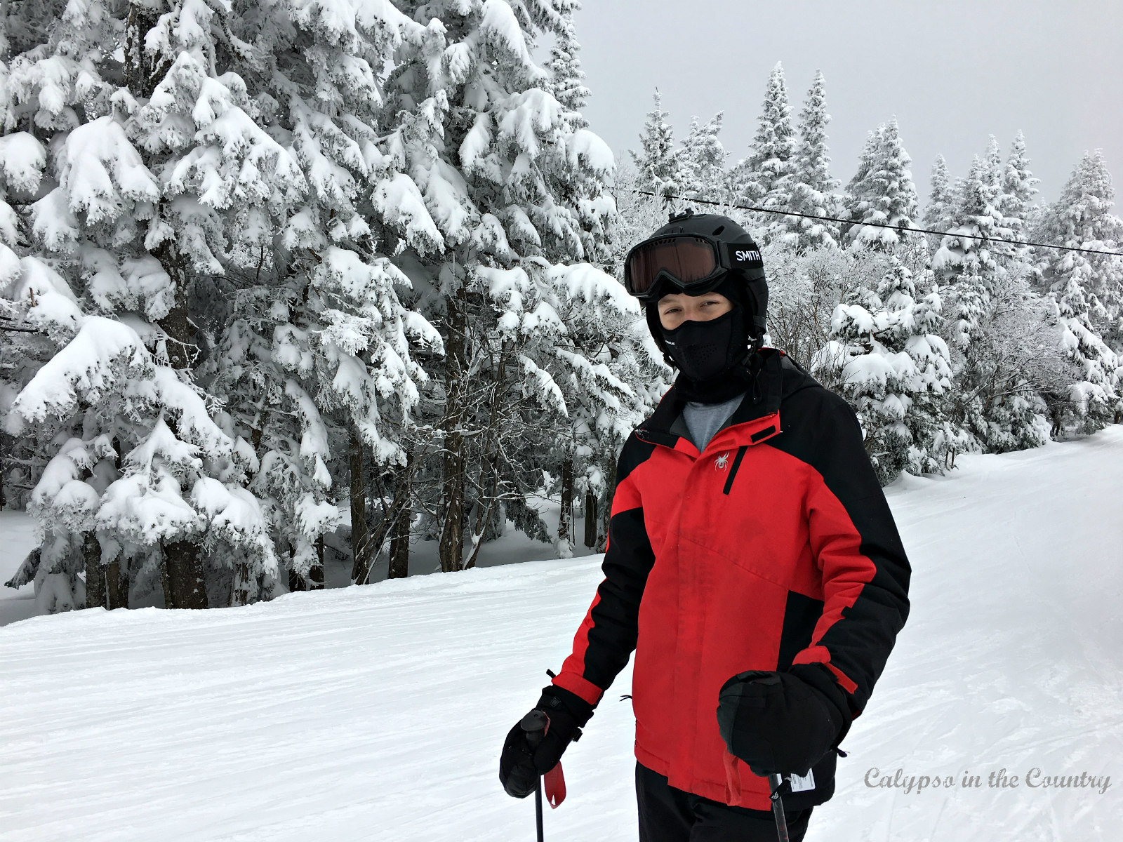 Boy with red jacket on snowy ski trail.