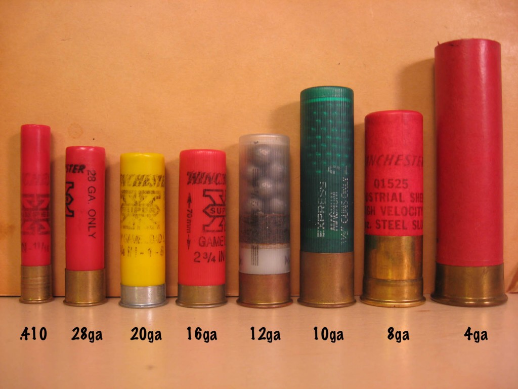 Shotgun Shell Gauge Size Comparison.