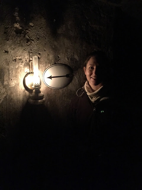 Copenhagen in November