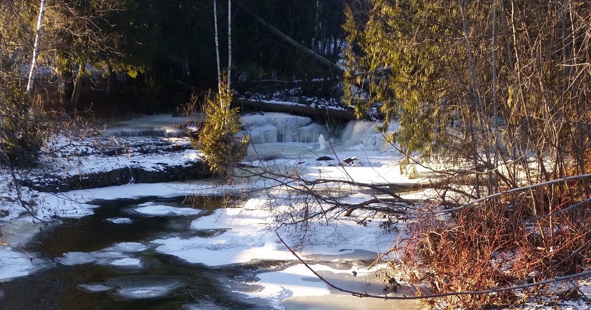 Panda's Odyssey My Journey Across The World With Martial Arts Thunder