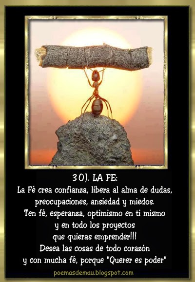 Ver las imágenes de origen