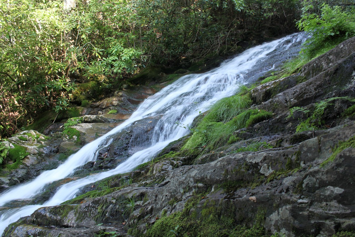 Til the Last Hemlock Dies Red Fork Falls