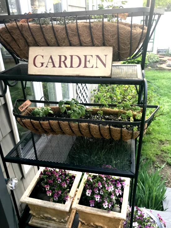Baker's Rack Herb Garden