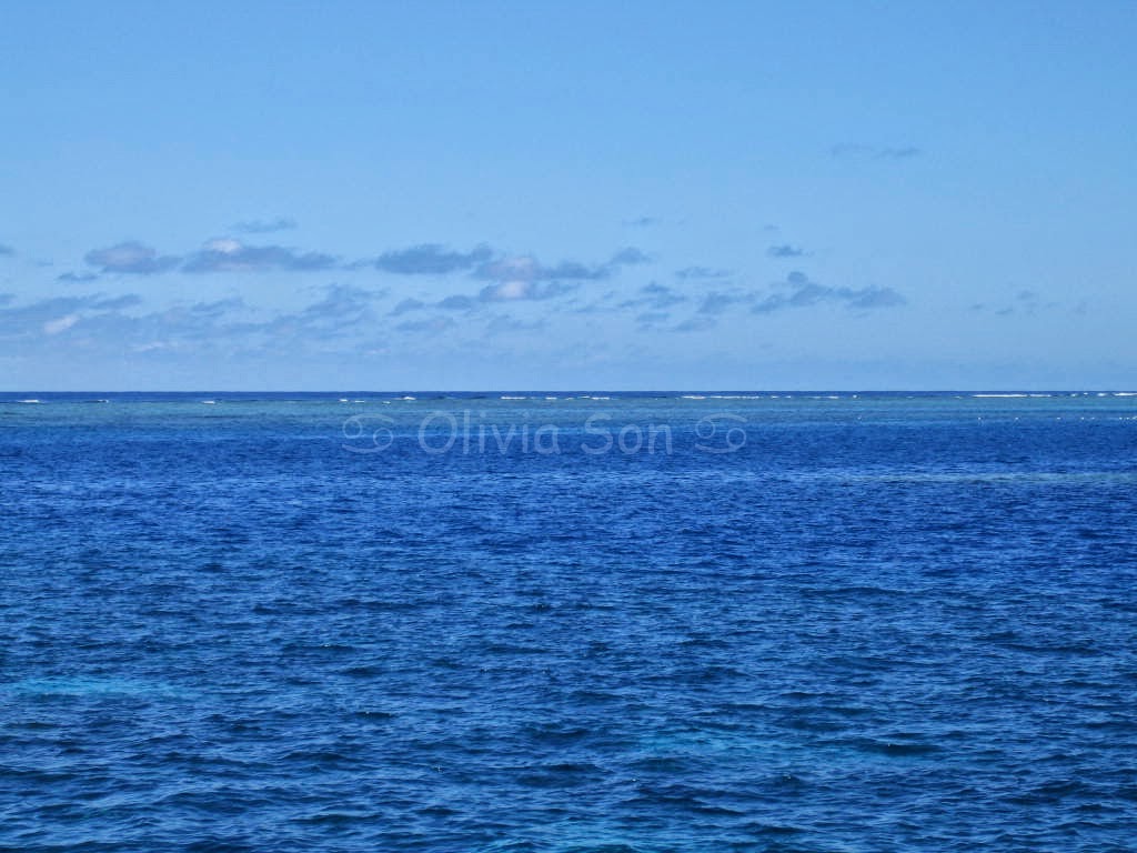 Barrière de Corail, Cairns, Queensland, Australie