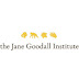 2 New Job Opportunities at The Jane Goodall Institute Tanzania
