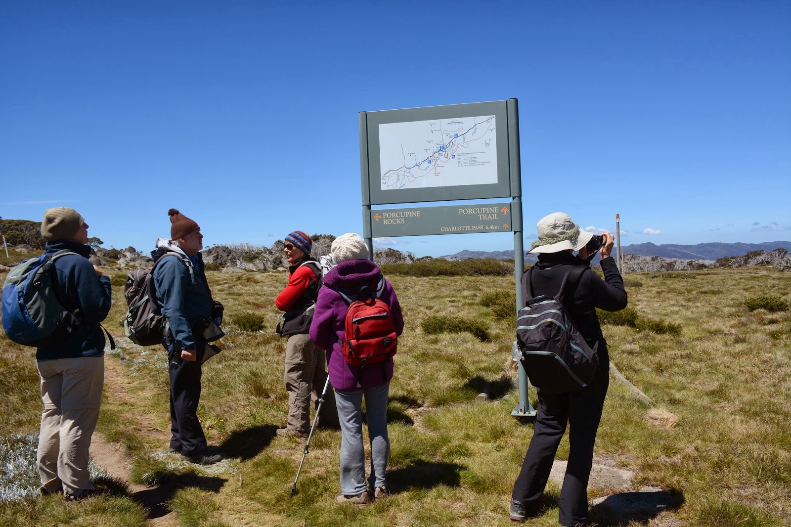 walkabouters club of victoria inc: Porcupine Rocks and return.