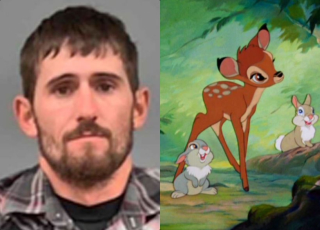 Cazador sentenciado a ver a "Bambi" durante un año en prisión Cazador David Berry Jr. sentenciado a ver a "Bambi" durante un año en prisión