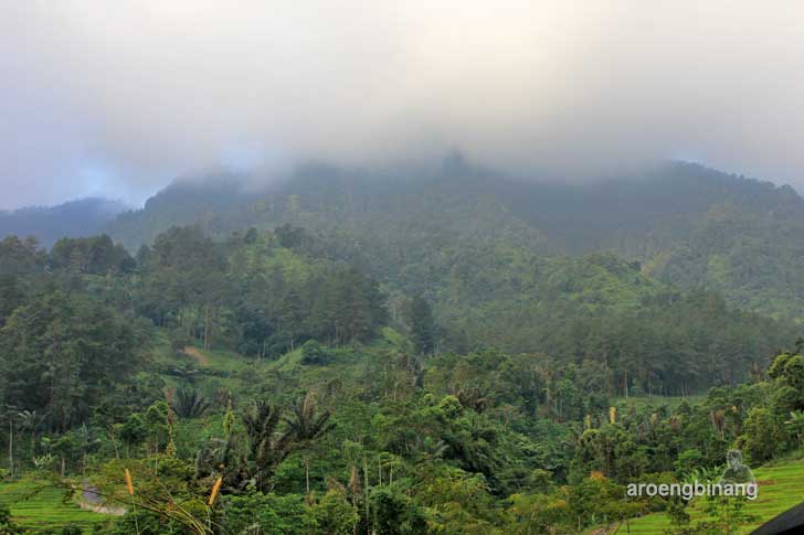 makam syekh maja suta petungkriyono pekalongan