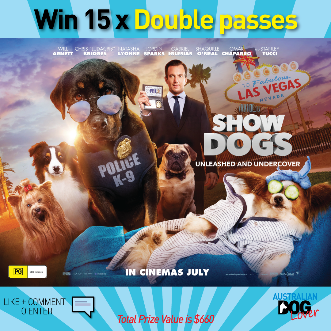 show dogs movie double pass giveaway australian dog lover under cover christmas