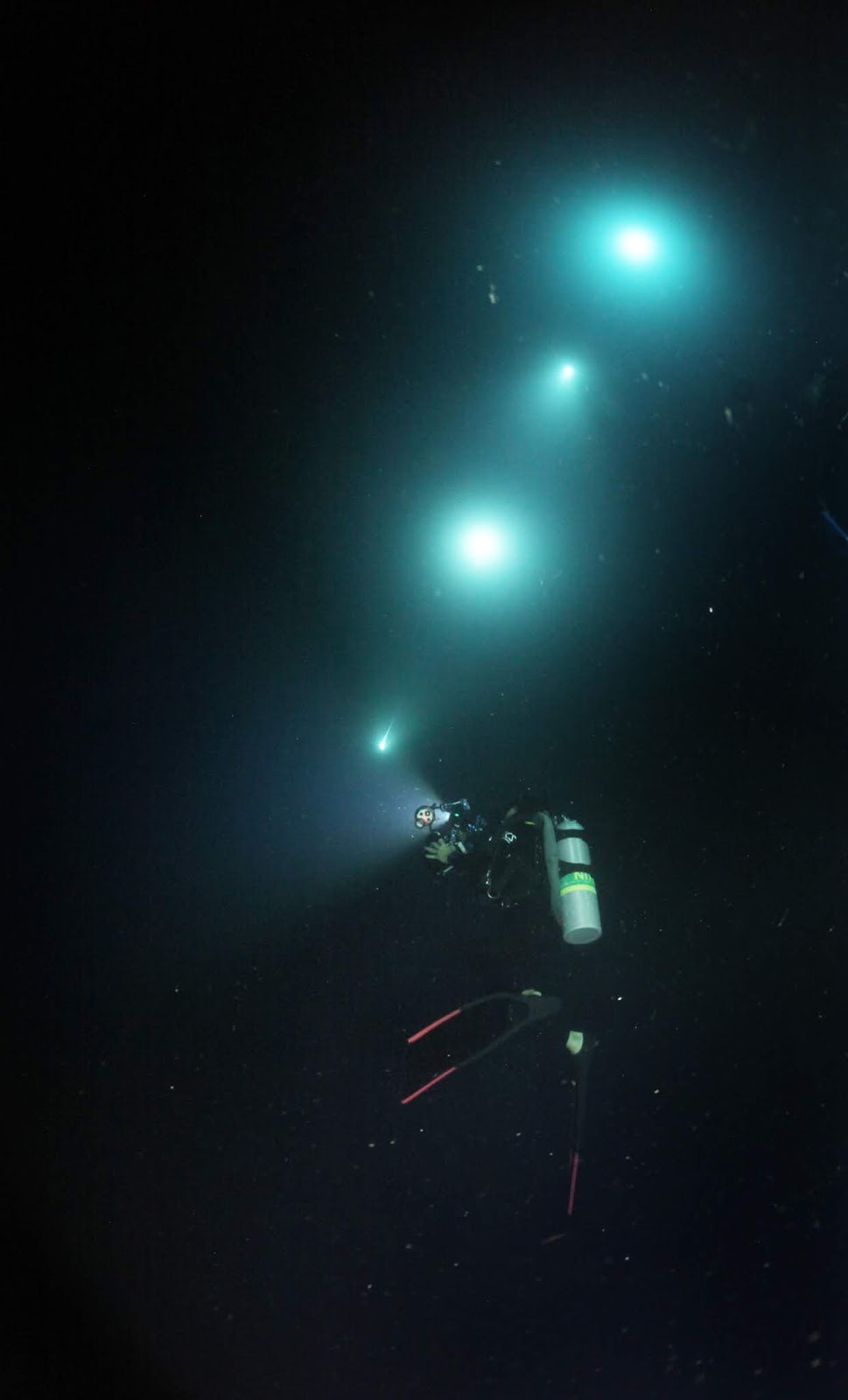 Blackwater Diving in Anilao with Squires Bingham Sports PaparazSea