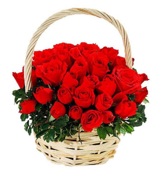 hoa chúc mừng sinh nhật đẹp nhất thế giới 2017 21