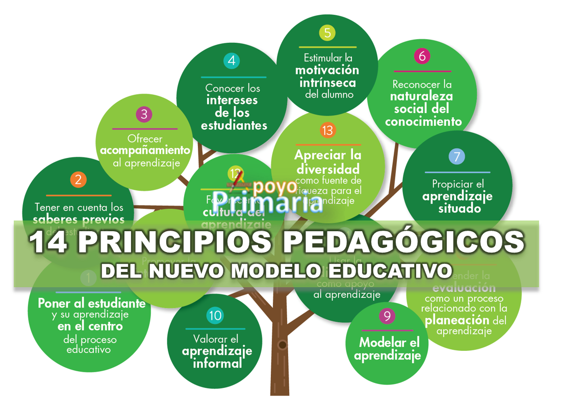 Principios pedagógicos del Nuevo Modelo Educativo | Apoyo Primaria