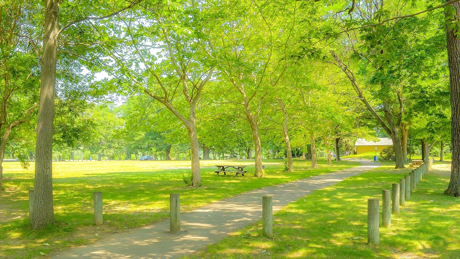 Kings Point, New York Park Trip to Park