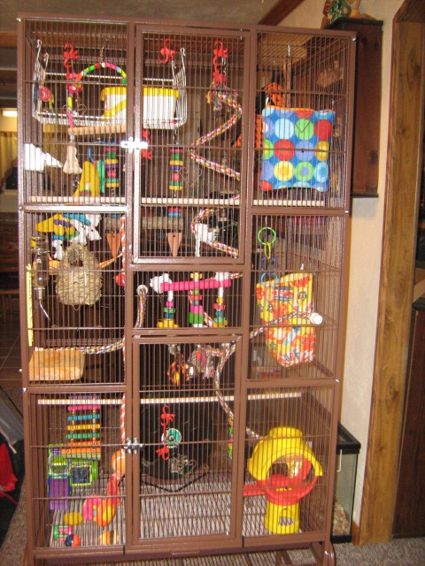 Nurul Kay World: Sugar Glider Cage Decoration