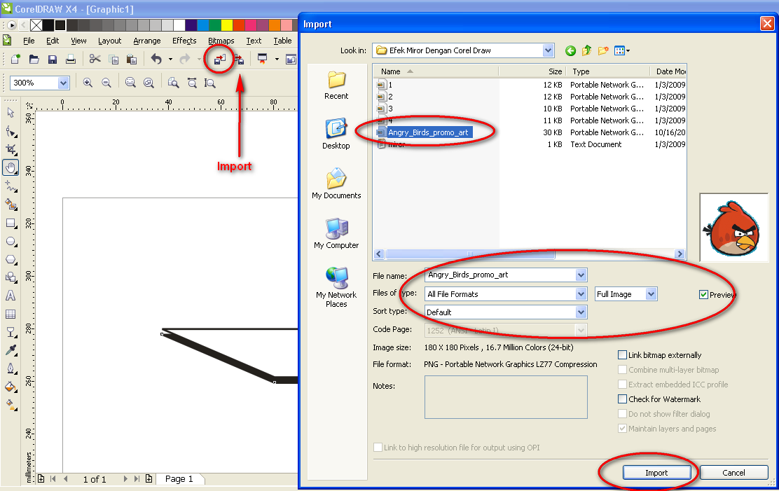 Efek Mirror dengan Corel Draw Naura Design