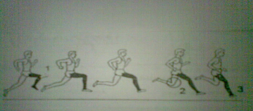 Jika pada saat pelari jarak pendek memasuki garis finish terdapat dua atau lebih pelari secara bersa